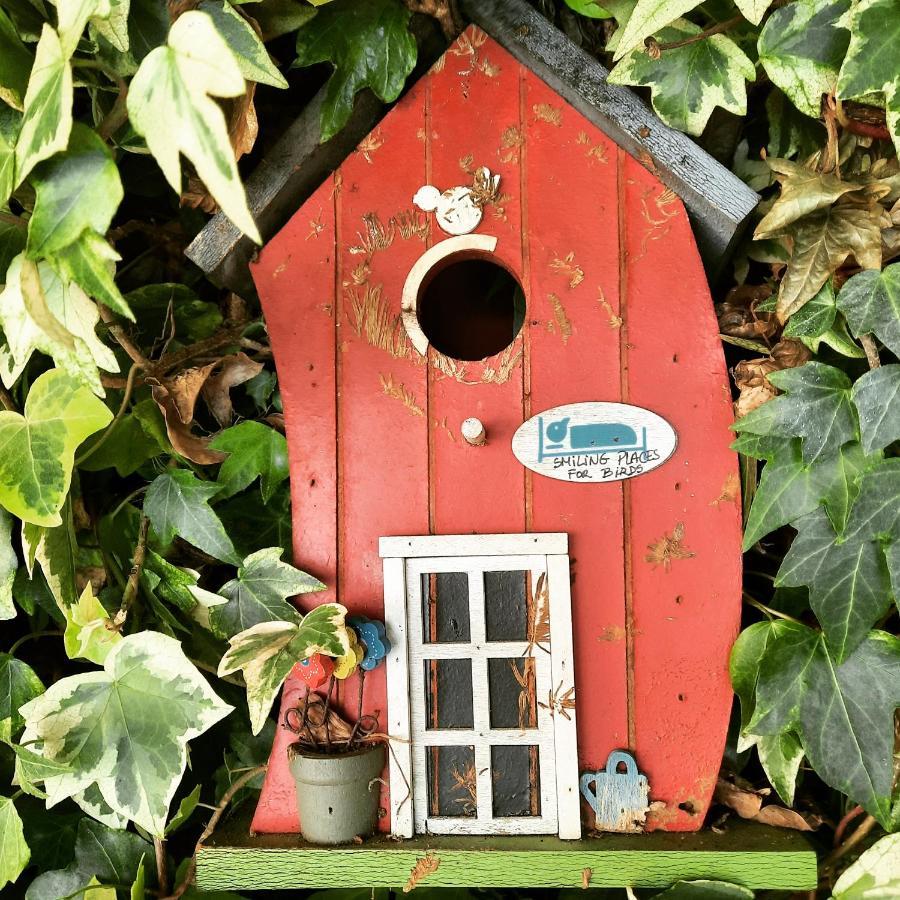 Smiling Places - Guest House In Labruge Exteriör bild